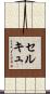セルキュ Scroll
