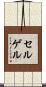 セルゲル Scroll