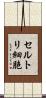 セルトリ細胞 Scroll