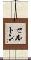 セルトン Scroll