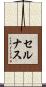 セルナス Scroll