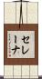 セレーナ Scroll
