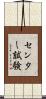 センター試験 Scroll