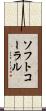 ソフトコーラル Scroll