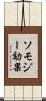 ソモジー効果 Scroll
