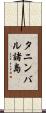 タニンバル諸島 Scroll