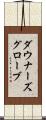 ダウナーズグローブ Scroll