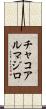 チャコアルマジロ Scroll