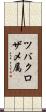 ツバクロザメ属 Scroll