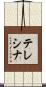 Teresinha Scroll