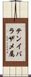 テンイバラザメ属 Scroll