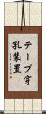 テープ穿孔装置 Scroll