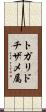 トガリドチザメ属 Scroll