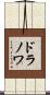 ドラノワ Scroll