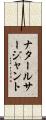 ナタールサージャント Scroll