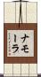 ナモーラ Scroll
