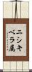 ニシキベラ属 Scroll