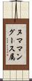 ヌママングース属 Scroll