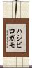 ハシビロガモ Scroll