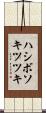 ハシボソキツツキ Scroll