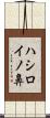 ハシロイノ鼻 Scroll