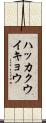 ハッカクウイキョウ Scroll