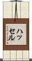 ハッセル Scroll