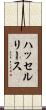 ハッセルリース Scroll