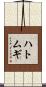 ハトムギ Scroll