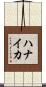 ハナイカ Scroll