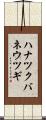 ハナツクバネウツギ Scroll