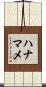 ハナマメ Scroll