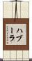 ハブーラ Scroll
