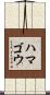 ハマゴウ Scroll