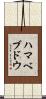 ハマベブドウ Scroll