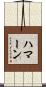 Haman Scroll