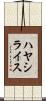 ハヤシライス Scroll