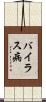 バイラス病 Scroll