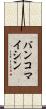 バンコマイシン Scroll