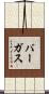 Vargas Scroll