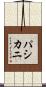パシカニ Scroll