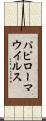 パピローマ・ウイルス Scroll