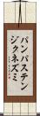パンパステンジクネズミ Scroll
