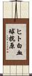 ヒト白血球抗原 Scroll