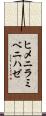 ヒメニラミベニハゼ Scroll