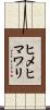 ヒメヒマワリ Scroll
