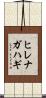 ヒレナガハギ Scroll