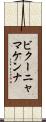 ビクーニャマケンナ Scroll