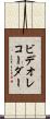 ビデオレコーダー Scroll