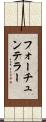 フォーチュンテラー Scroll